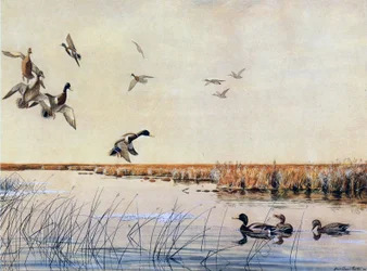 Enten landen, 1919